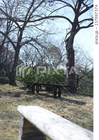 展望公園の風景 137097374