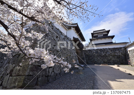 春の福岡城址　下之橋門　潮見櫓　福岡市舞鶴公園 137097475