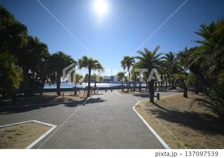 青島の植物園の風景 137097539