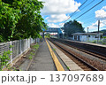 新潟　JR信越本線田上駅 137097689