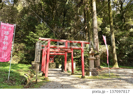 都農神社境内の様子 都農神社境内の様子 137097817