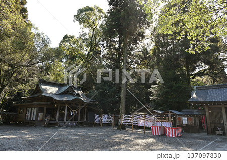 都農神社境内の様子 137097830