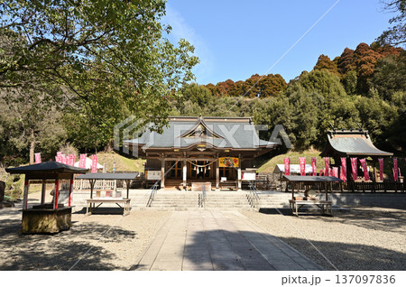 都農神社境内の様子 都農神社境内の様子 137097836
