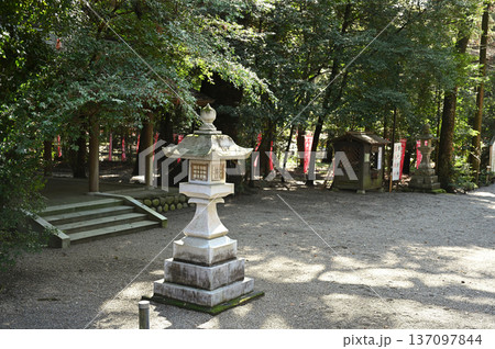 都農神社境内の様子 都農神社境内の様子 137097844