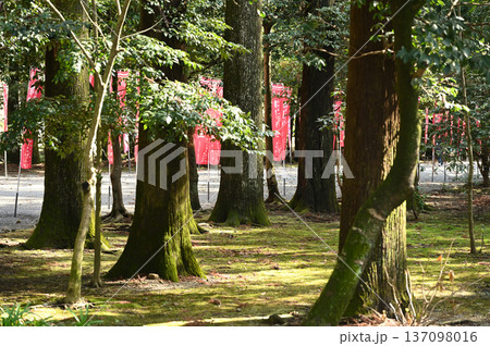 都農神社　境内の様子 137098016