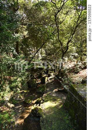 都農神社 境内の様子 都農神社 境内の様子 137098022