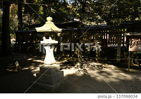 都農神社 境内の様子 都農神社 境内の様子 137098034