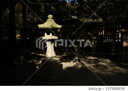 都農神社　境内の様子 137098036