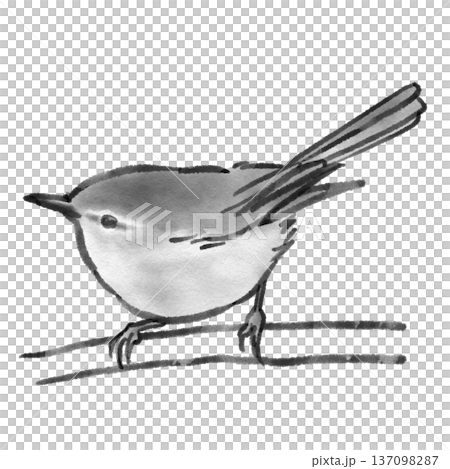 ウグイスのイラスト(墨絵風) ウグイスのイラスト(墨絵風) 137098287