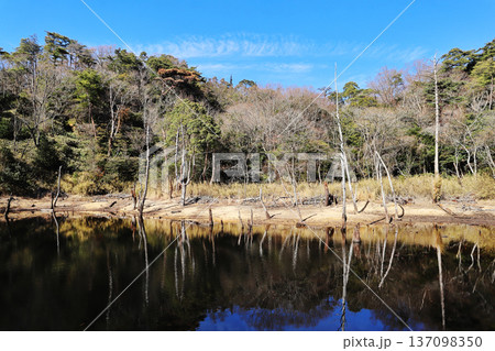 横池（雌池） 137098350