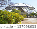 柳川市雲龍の里相撲場 137098633