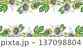 Hand drawn Passiflora plant seamless border decoration on white background. Passion flower plant watercolor botanical illustration. Passiflora vine with flowers, leaves seamless border decoration 137098804