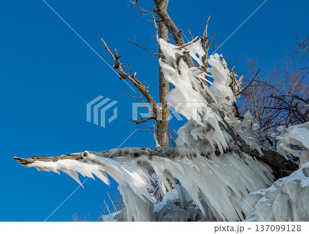 Icicles on the rocks 137099128