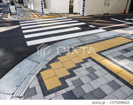 横断歩道手前の点字ブロック設置例 137099682