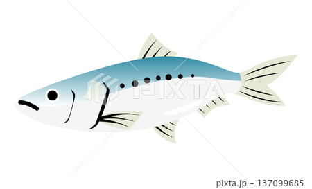 シンプルでかわいい鰯(イワシ)のイラスト 食べ物・魚のベクター素材 シンプルでかわいい鰯(イワシ)のイラスト 食べ物・魚のベクター素材 137099685