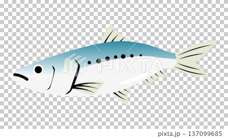 シンプルでかわいい鰯(イワシ)のイラスト 食べ物・魚のベクター素材 シンプルでかわいい鰯(イワシ)のイラスト 食べ物・魚のベクター素材 137099685