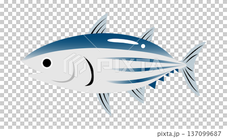 シンプルでかわいい鰹（カツオ）のイラスト　食べ物・魚のベクター素材 137099687