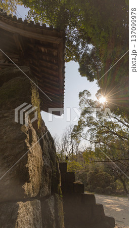 光さす神秘的な鐘楼 137099978