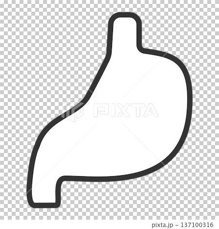 簡單的黑白胃部插圖 137100316