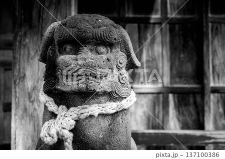 狛犬ショット 137100386