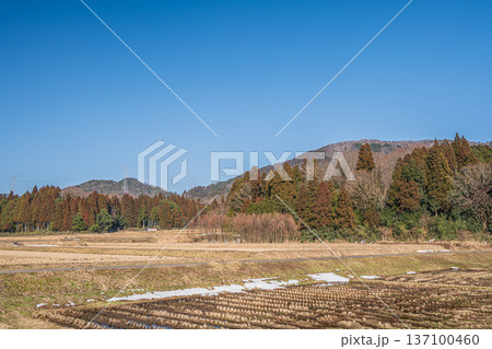 奥琵琶湖の田園風景　滋賀県長浜市永原 137100460