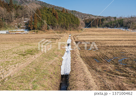 奥琵琶湖の田園風景 滋賀県長浜市永原 奥琵琶湖の田園風景 滋賀県長浜市永原 137100462