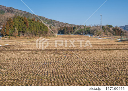 奥琵琶湖の田園風景　滋賀県長浜市永原 137100463