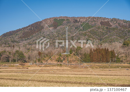 奥琵琶湖の田園風景 滋賀県長浜市永原 奥琵琶湖の田園風景 滋賀県長浜市永原 137100467