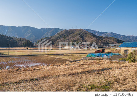 奥琵琶湖の田園風景　滋賀県長浜市永原 137100468