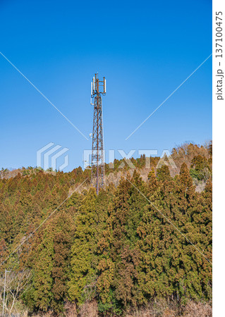 鉄塔の立つ針葉樹林　滋賀県長浜市永原 137100475