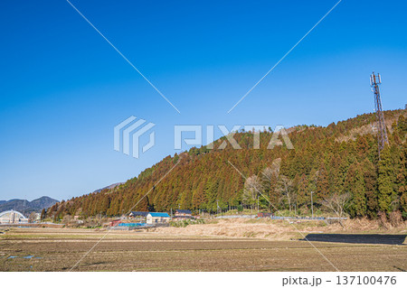 奥琵琶湖の田園風景　滋賀県長浜市永原 137100476