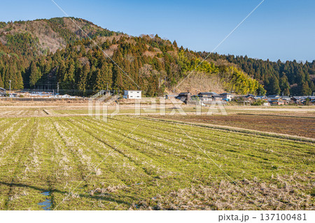 奥琵琶湖の田園風景　滋賀県長浜市永原 137100481