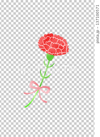 Illustration of red carnation Illustration of red carnation 137100571