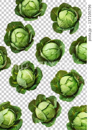 Fresh cabbage heads with rich green textured leaves isolated on white background, healthy organic produce 137100796