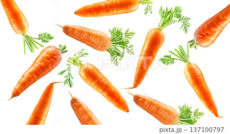 Bunches of fresh orange carrots with green tops arranged in a scattered layout isolated on white background, organic healthy food 137100797