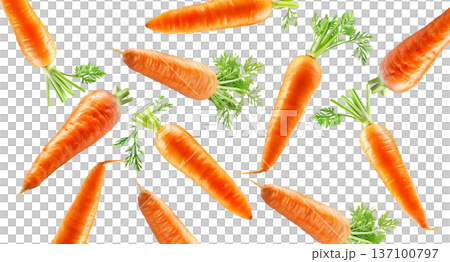 Bunches of fresh orange carrots with green tops arranged in a scattered layout isolated on white background, organic healthy food 137100797
