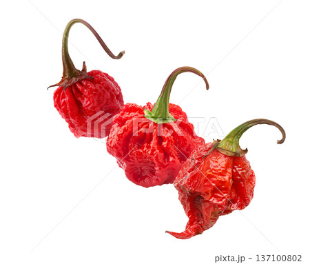 Wrinkled red Carolina Reaper chili peppers isolated on white background, close-up of extreme heat food concept, natural style 137100802