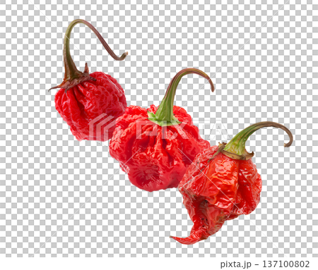 Wrinkled red Carolina Reaper chili peppers isolated on white background, close-up of extreme heat food concept, natural style 137100802