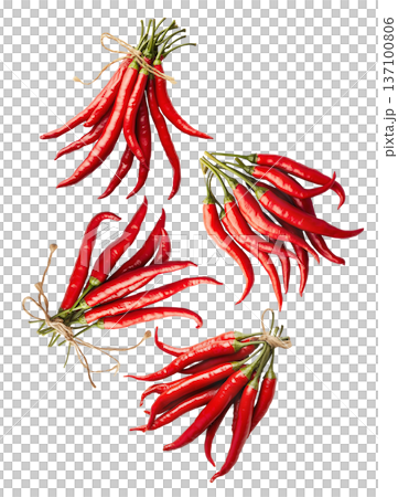 Bunches of red chili peppers with green leaves isolated  on white background, concept of spice and flavor 137100806