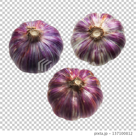 Whole purple garlic bulbs arranged in a scattered seamless pattern, isolated on white background, concept of organic food 137100812