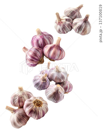 Multiple whole garlic bulbs arranged in a seamless pattern, isolated on white background. Concept of organic food and culinary spice Multiple whole garlic bulbs arranged in a seamless pattern, isolated on white background. Concept of organic food and culinary spice 137100819