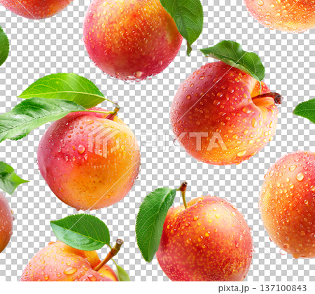 Juicy red-yellow plums and nectarines with dew drops and green leaves, isolated on white background, freshness and summer fruit Juicy red-yellow plums and nectarines with dew drops and green leaves, isolated on white background, freshness and summer fruit 137100843