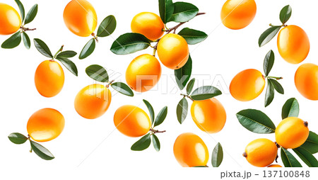 Ripe marian plums with glossy skin and green leaves scattered isolated on white background, freshness and tropical fruit concept 137100848
