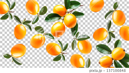 Ripe marian plums with glossy skin and green leaves scattered isolated on white background, freshness and tropical fruit concept 137100848