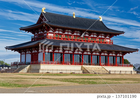 冬の平城京跡・大極殿 冬の平城京跡・大極殿 137101190