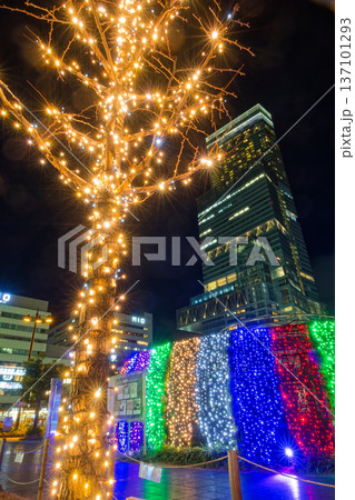 天王寺公園のイルミネーションとあべのハルカスの夜景 137101293