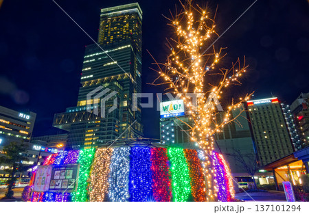 天王寺公園のイルミネーションとあべのハルカスの夜景 137101294