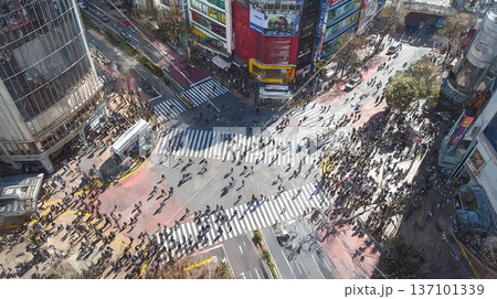 ビジネス街の上から見下ろす 137101339