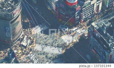 上空から見た交差点 137101344
