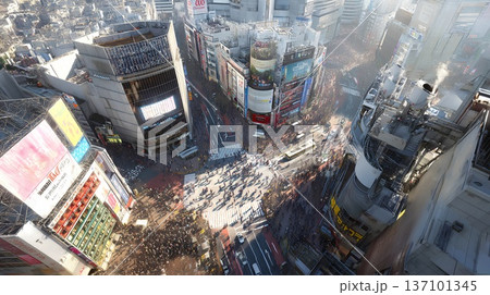 見下ろした風景 137101345